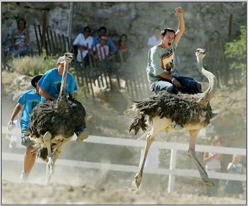 9loo5gbqc862xgk7riXvRaOs_500.jpg