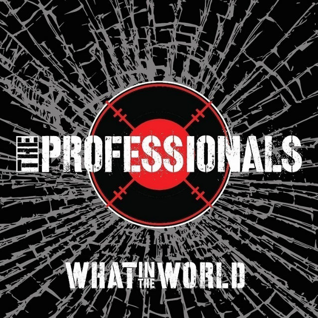 professionalswhatintheworldcd.jpg
