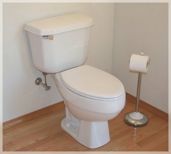 toilet2.jpg