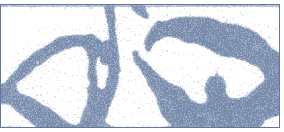 t121.gif