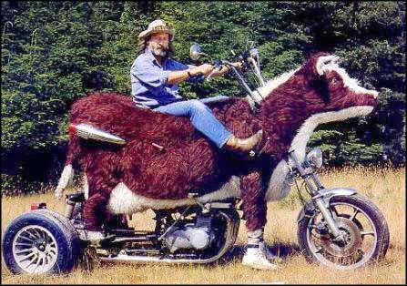 redneck%20motorcyle.jpg