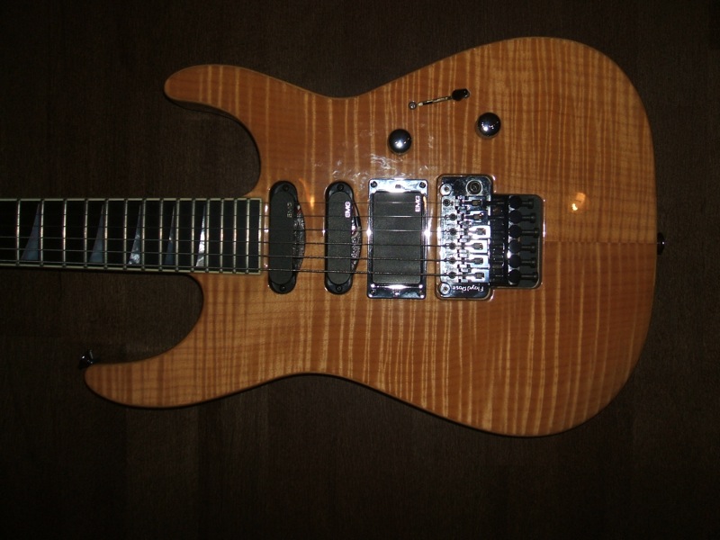 SL-1%20Body.jpg