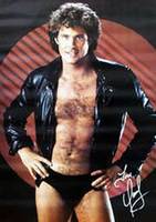 david%20hasselhoff.jpg