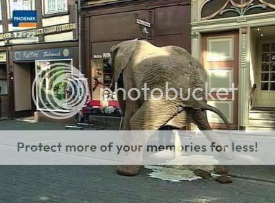 pissing_elephant.jpg
