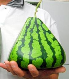 pyramid_watermelon.jpg