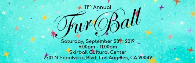 kittenrescuefurball2019.jpg