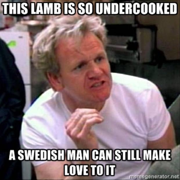 a-gordon-ramsay-meme-dumpaday-16.jpg