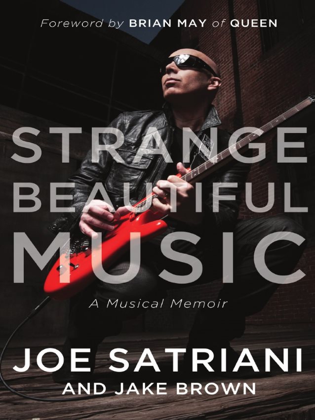 joesatrianistrangebeautifulbook.jpg