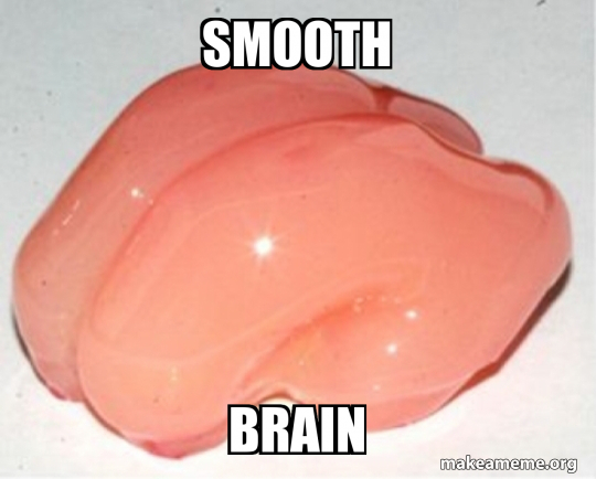 smooth-brain.jpg