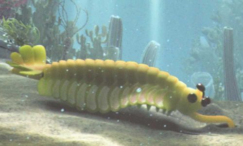 Opabinia.jpg