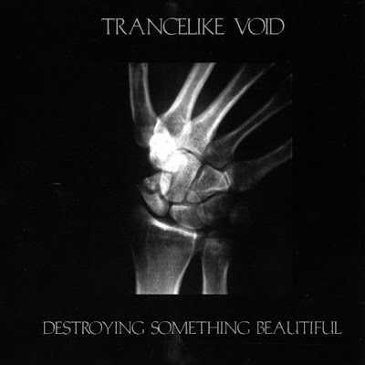 Trancelike+Void+-+Destroying+Something+Beautiful.jpg