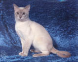 PendragonCrystalGuyser.jpg