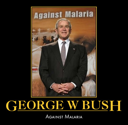 bush_malaria.jpg