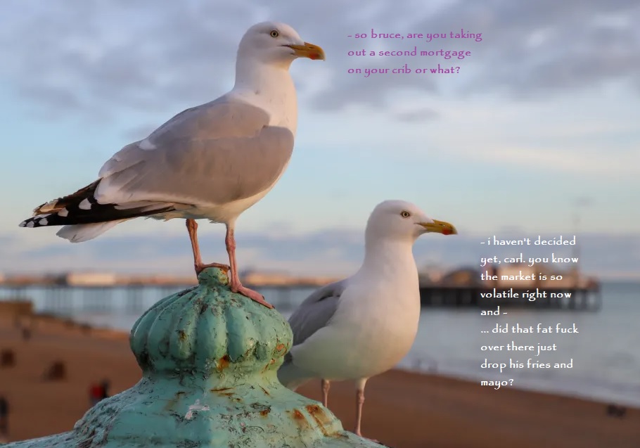 gulls.jpg