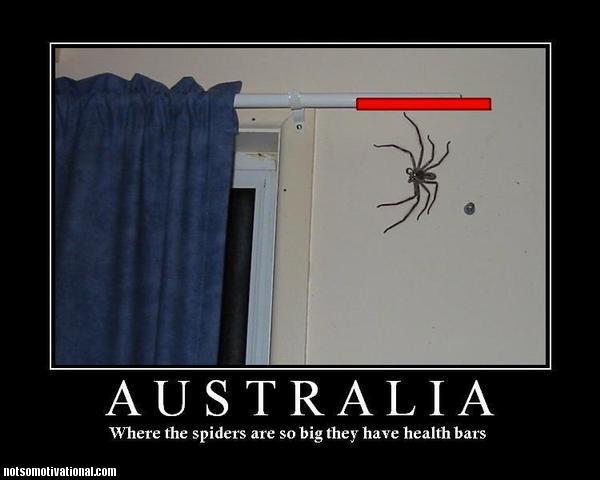 esfmnkaustralia-huge-spiders-health-barjpg.jpeg