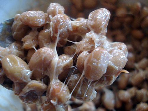 natto-spoonful.jpg