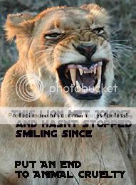 lion-yawncopy.jpg