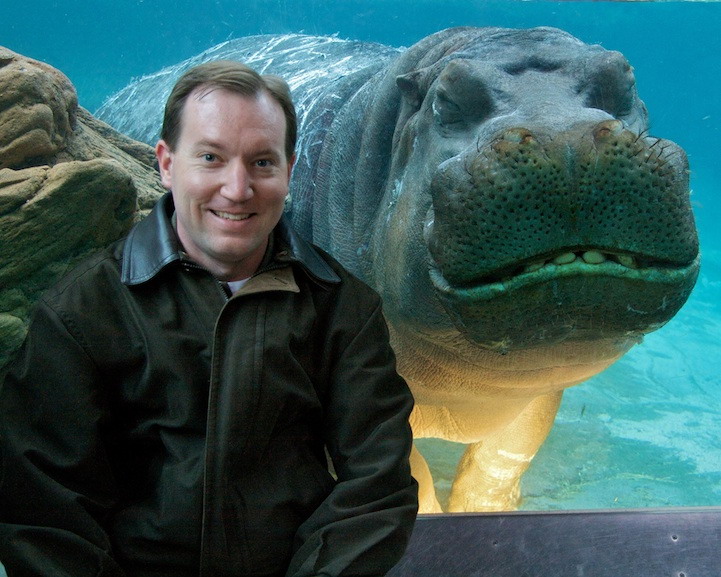 hippo-photobomb-big.jpg