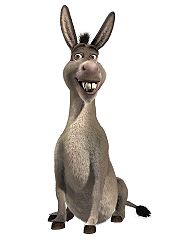 donkey1.jpg