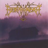 borknagar.jpg