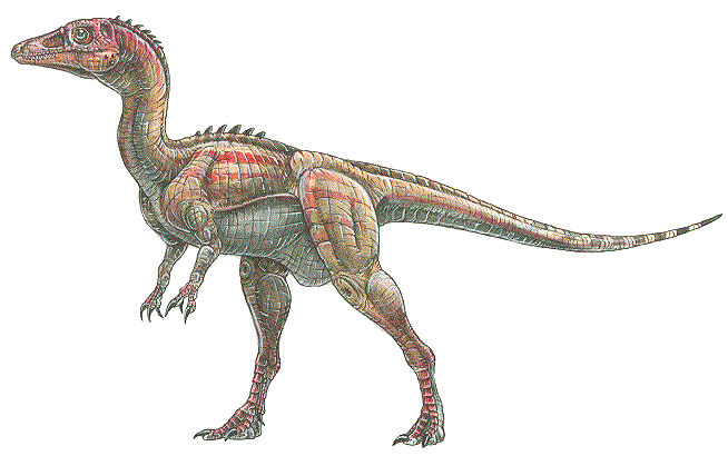 eoraptor_lunensis.gif