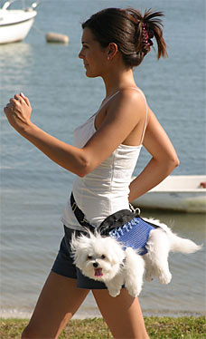 doggybag24006_228x374.jpg