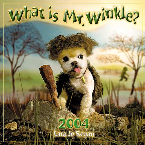 2004Winkle_Coverlg.jpg