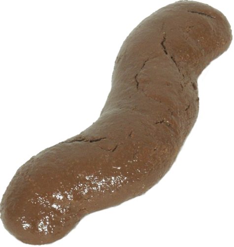 long-turd-big.jpg