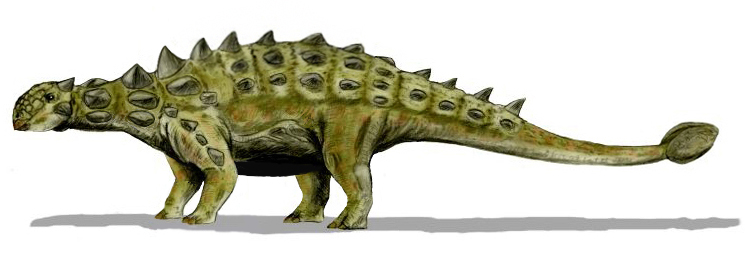 Euoplocephalus_BW.jpg