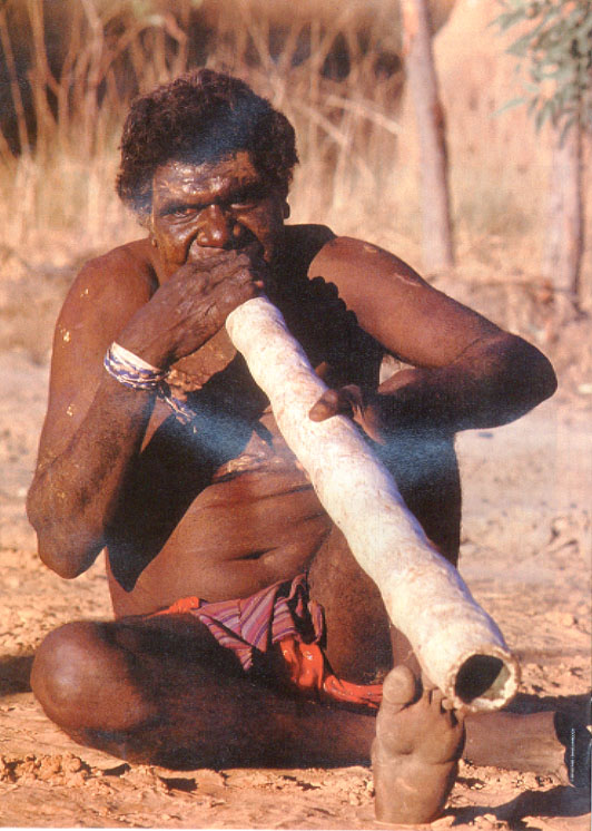 Didgeridoo.jpg