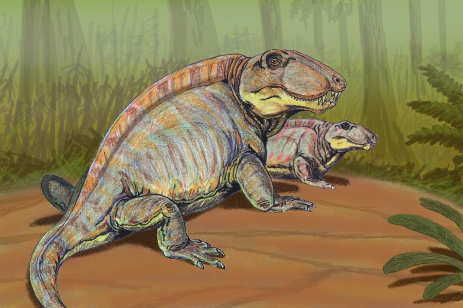 Sphenacodon2.jpg