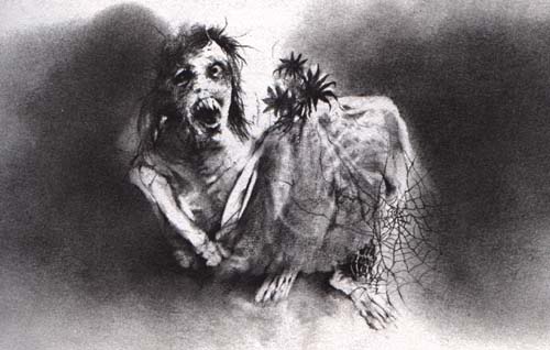 stephen-gammell-image.jpg