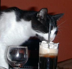 irish-coffee.jpg