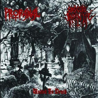 obscure-infinity-united-in-death(split)-20111112125114.jpg