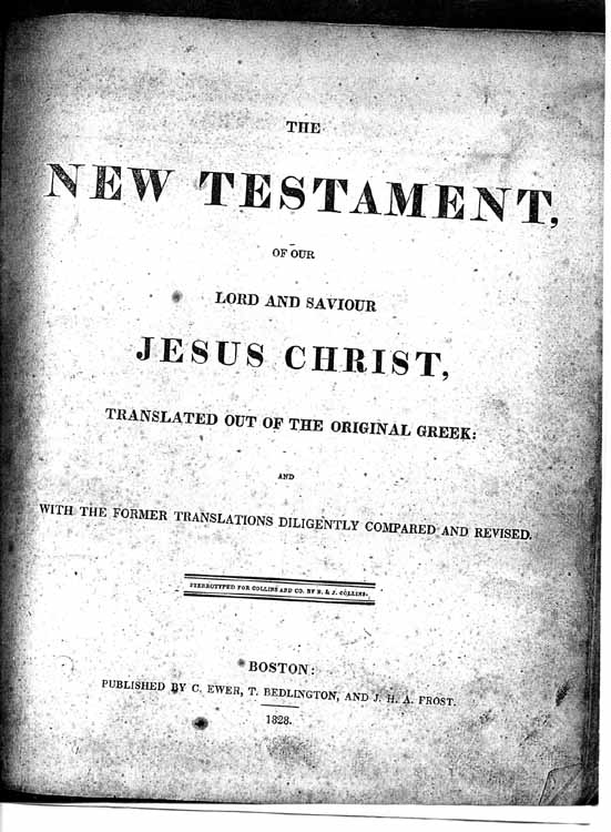 amos-mclaughlin-bible1.jpg