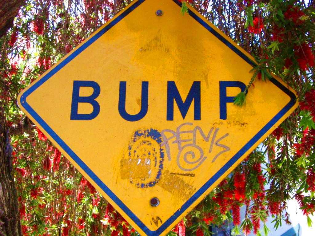 050904.bump.jpg