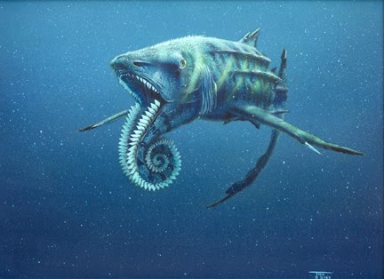 helicoprion.jpg