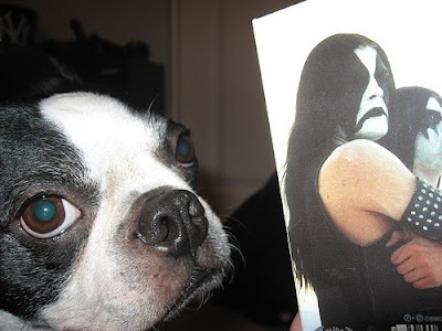 Abbath+dog.jpg