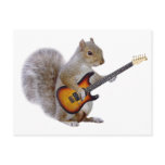 a_squirrel_playing_guitar_postcard-p239449486561729419td81_152.jpg