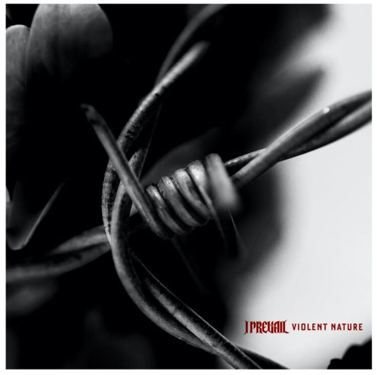 iprevailsingle525-750x747.jpg