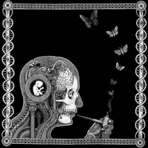 Soen-Cognitive.jpg