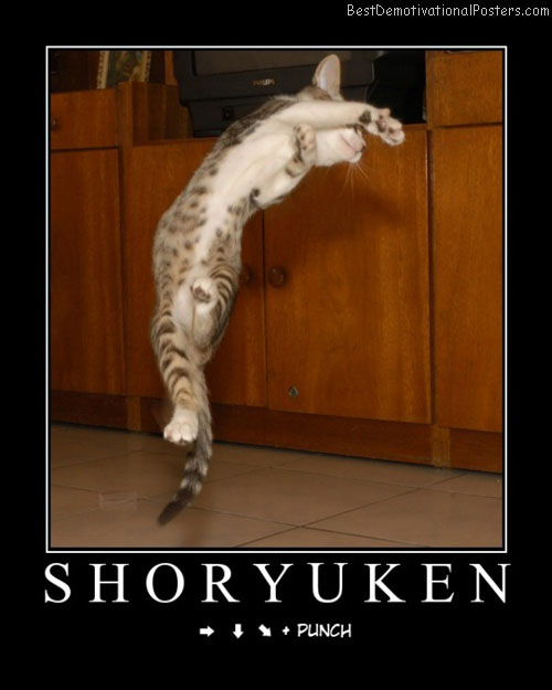 shoryuken-figher-cat-best-demotivational-posters.jpg