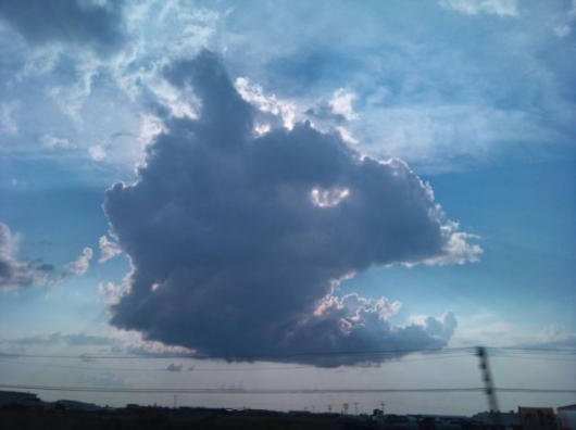 fish-head-cloud.jpg