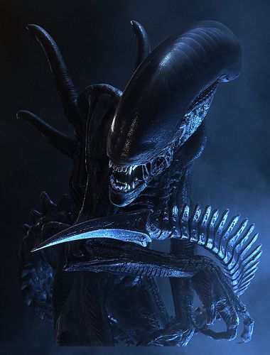 alien_xenomorph_02.jpg