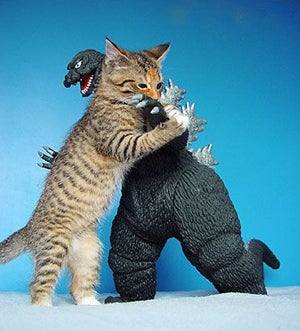 godzillacat_1280872861.jpg