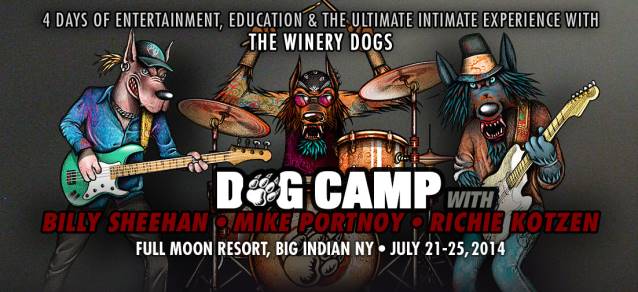 winerydogcamp.jpg