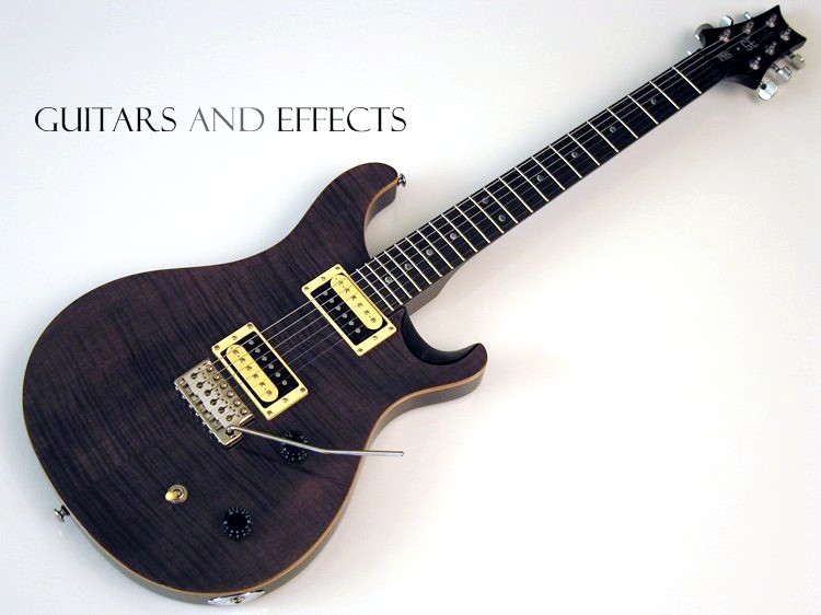 prs_se_custom_002.jpg