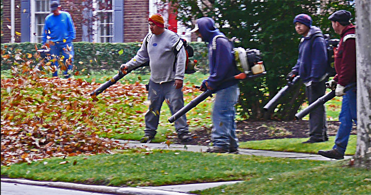 5-guys-with-leaf-blowers.jpg