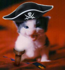 piratekitty.jpg