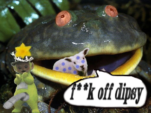 dipsyfrog.jpg